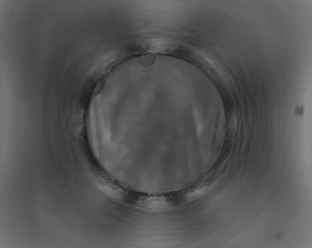 X0000094460554200711211543