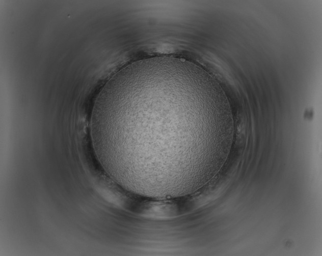 X0000094460555200711211543