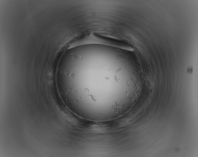 X0000094460556200711211543