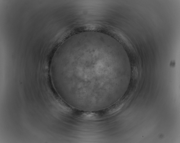 X0000094460557200711211543