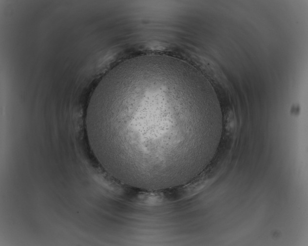 X0000094460559200711211543