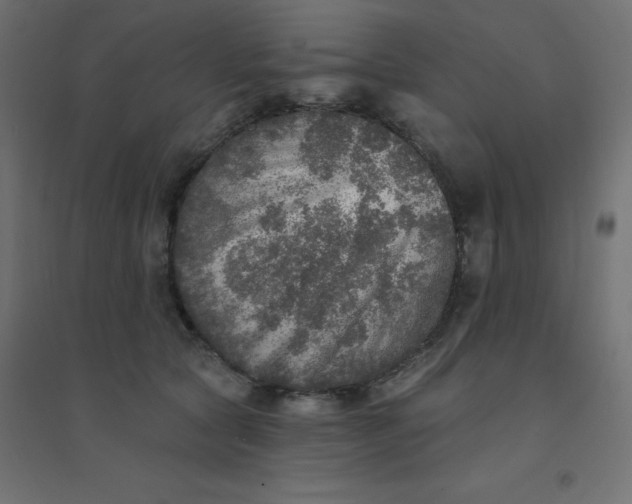 X0000094460561200711211543