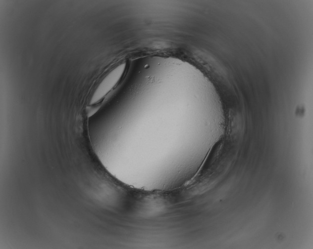 X0000094460562200711211543