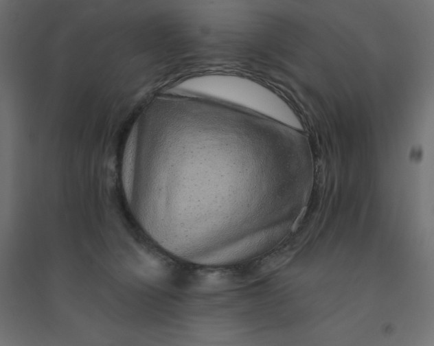 X0000094460564200711211543