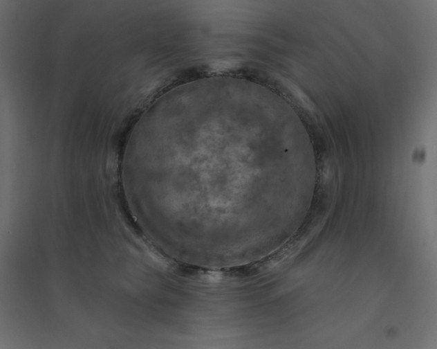 X0000094460565200711211543