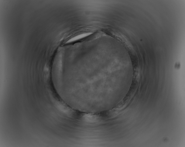 X0000094460568200711211543