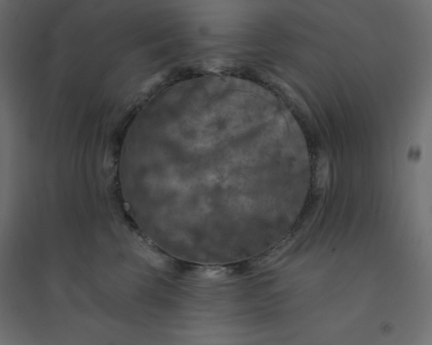 X0000094460569200711211543