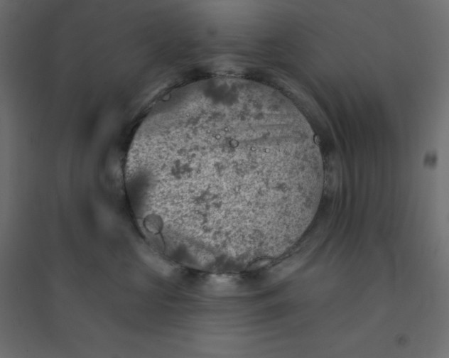 X0000094460573200711211543