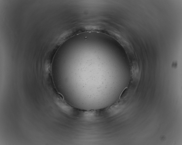 X0000094460574200711211543