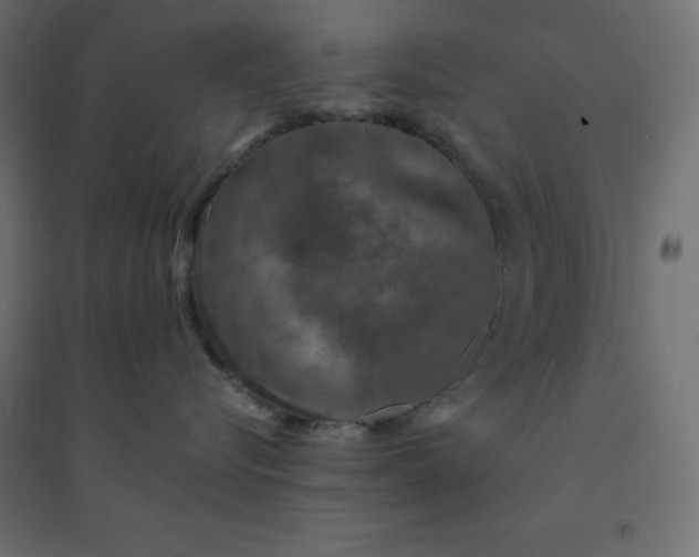 X0000094460576200711211543