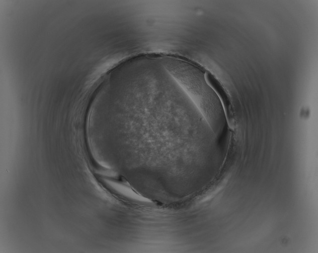 X0000094460577200711211542