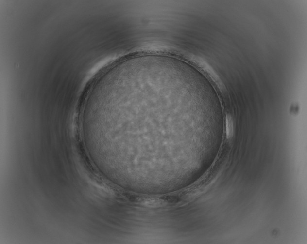 X0000094460579200711211542