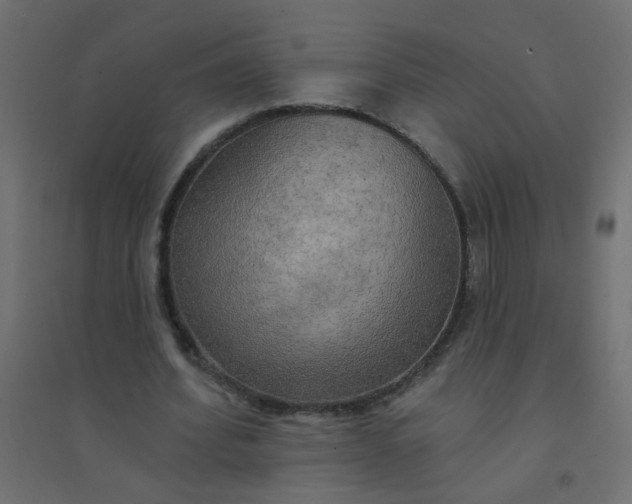 X0000094460580200711211542