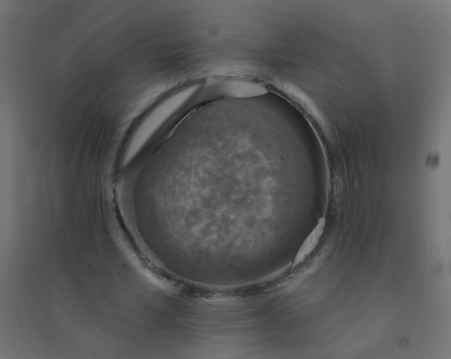 X0000094460581200711211542