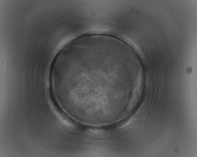 X0000094460582200711211542