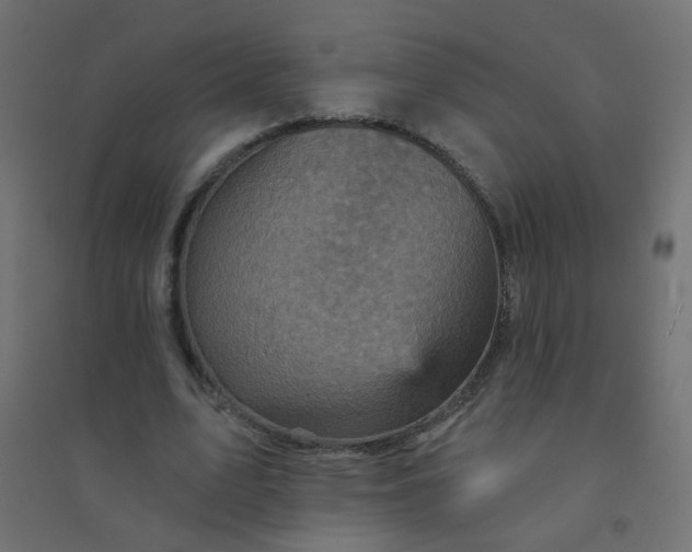 X0000094460583200711211542