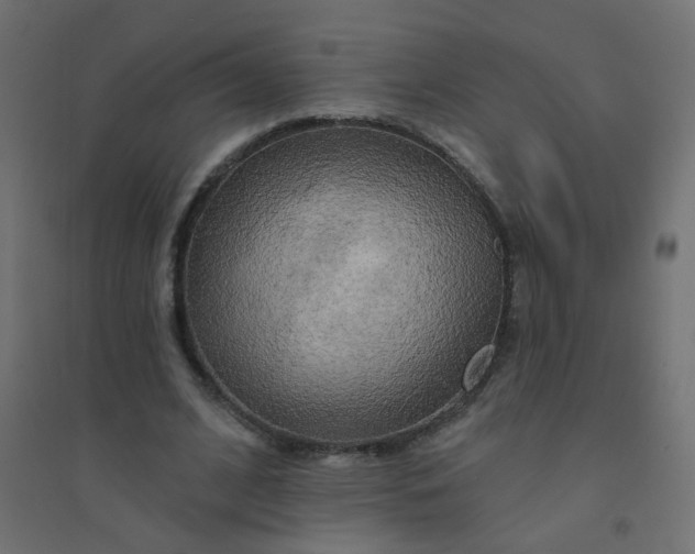 X0000094460584200711211542