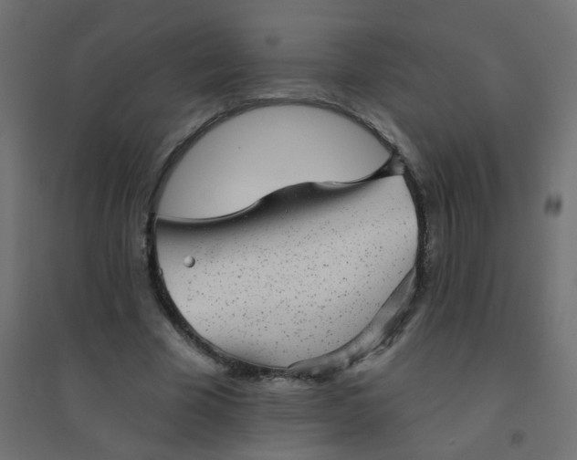 X0000094460585200711211542