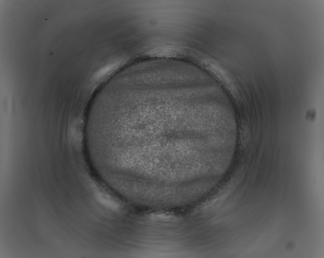 X0000094460586200711211542