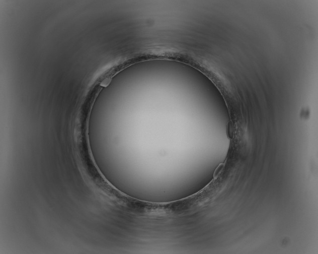 X0000094460587200711211542