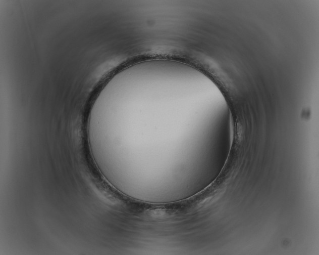 X0000094460588200711211542