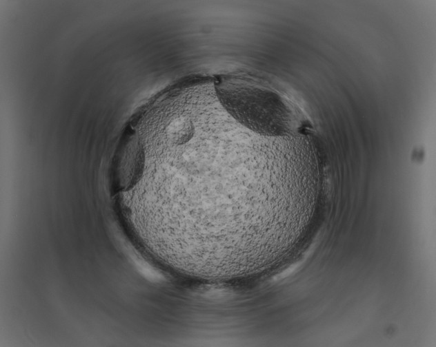 X0000094460589200711211542