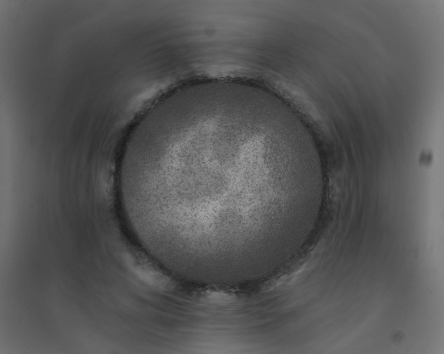 X0000094460592200711211542