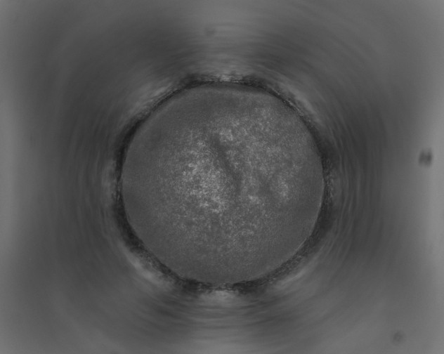 X0000094460594200711211542