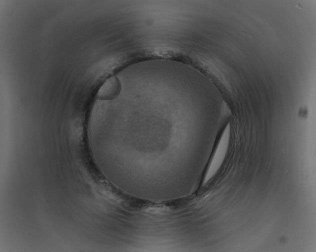 X0000094460595200711211542