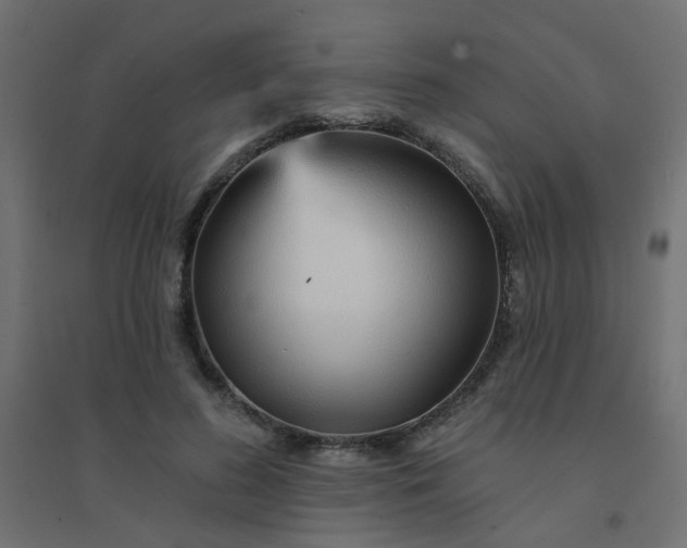 X0000094460596200711211542