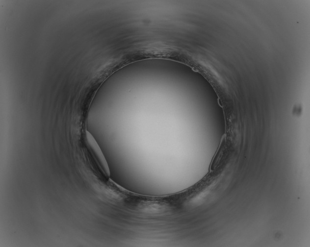 X0000094460597200711211542