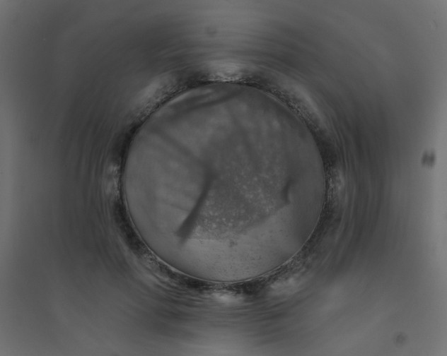 X0000094460598200711211542