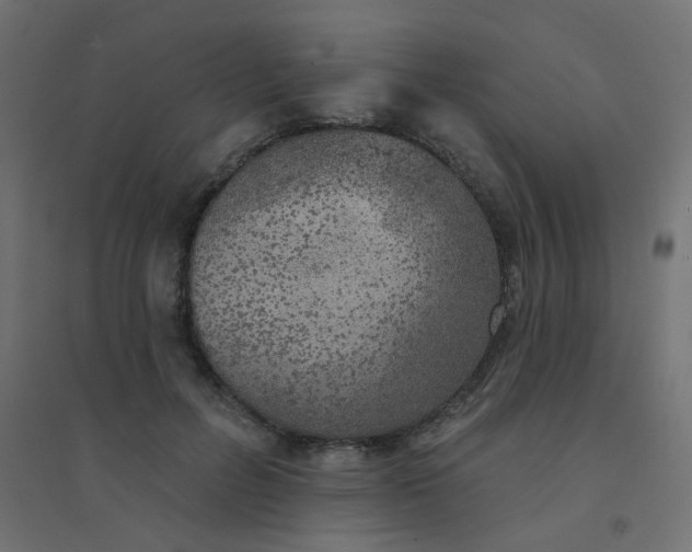 X0000094460600200711211542