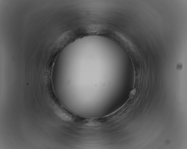 X0000094460601200711211542