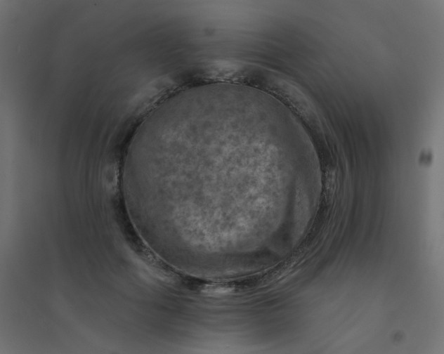 X0000094460602200711211542