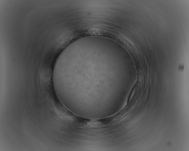 X0000094460603200711211542