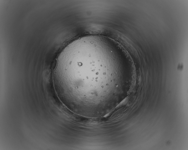 X0000094460604200711211542