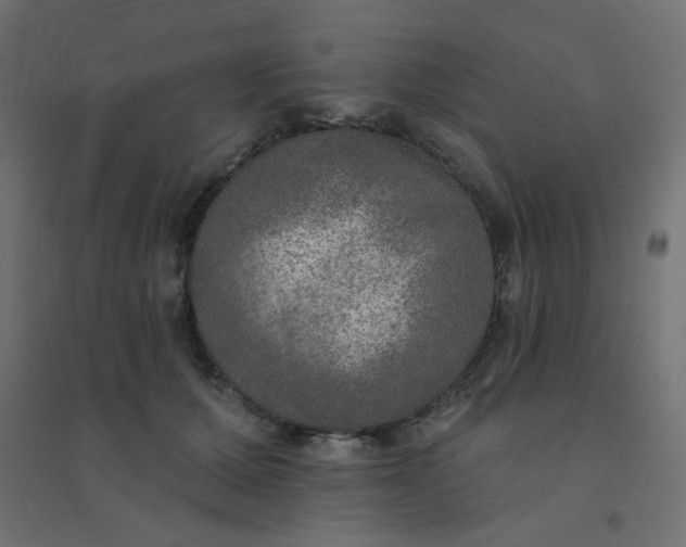 X0000094460607200711211542