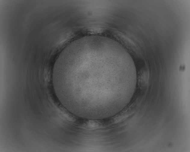 X0000094460608200711211542