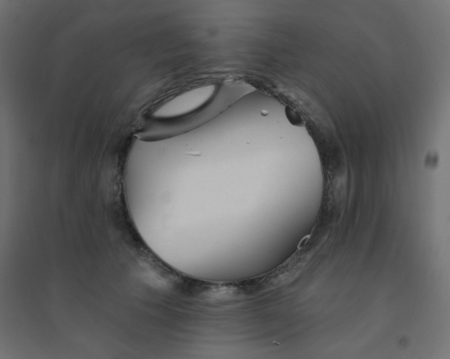 X0000094460609200711211542