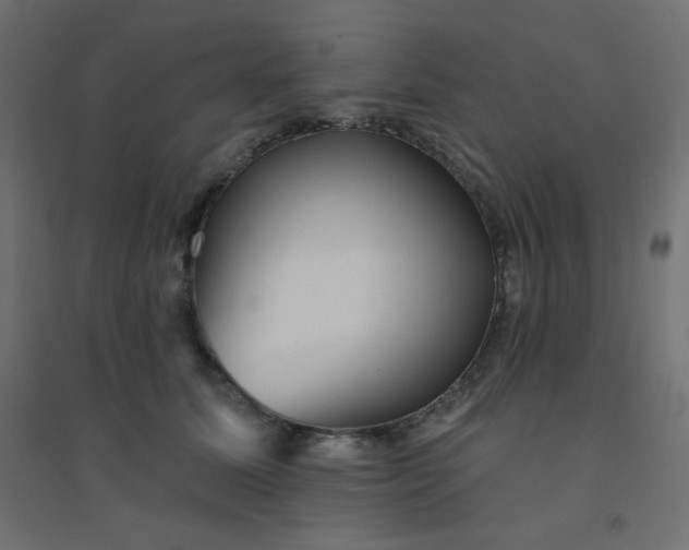 X0000094460611200711211542