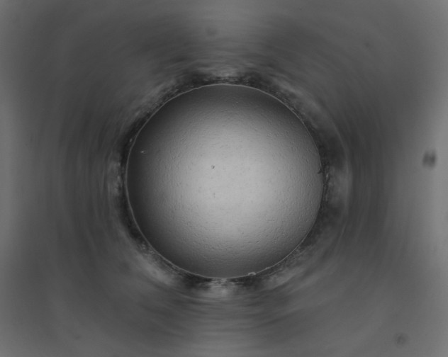 X0000094460612200711211542