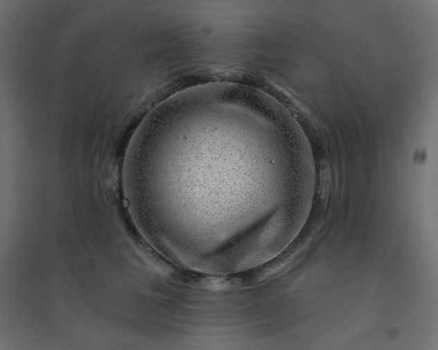 X0000094460613200711211542