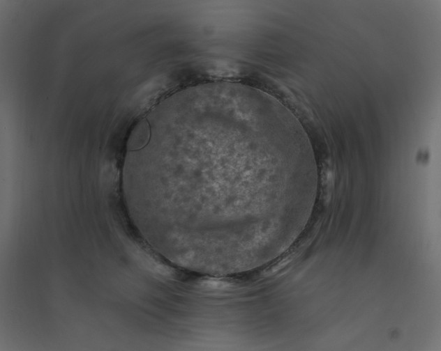 X0000094460614200711211542