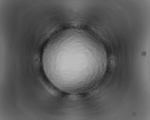 X0000094460615200711211542