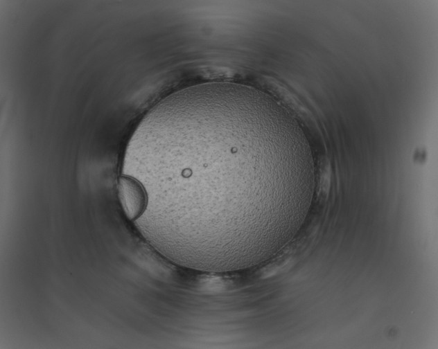 X0000094460616200711211542