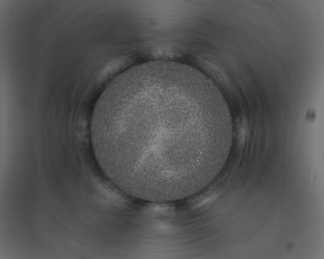 X0000094460619200711211542