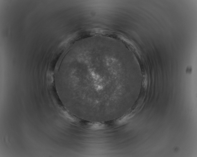 X0000094460621200711211542