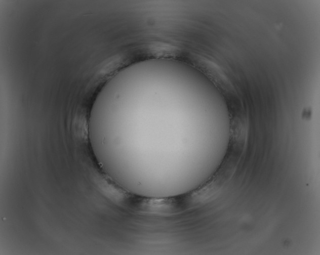 X0000094460622200711211542