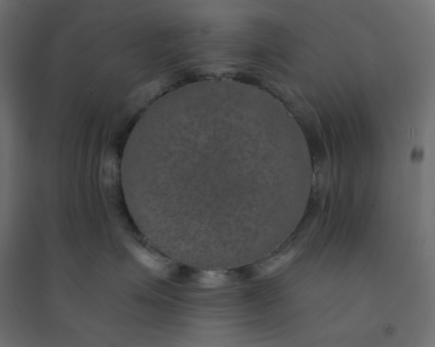 X0000094460623200711211542